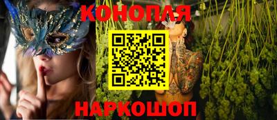 гашик Дубна
