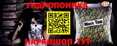 гашик Дубна