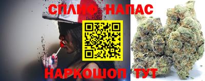гашик Дубна