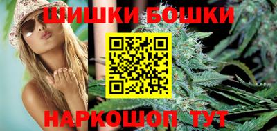 гашик Дубна